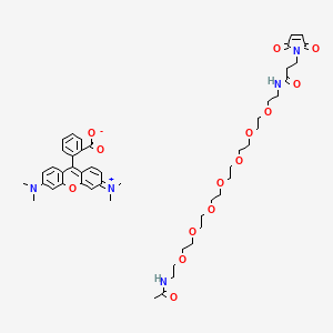 molecular formula C49H65N5O14 B12389902 TAMRA-PEG7-Maleimide 