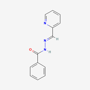 molecular formula C13H11N3O B1239027 Benzoic acid pyridin-2-ylmethylene-hydrazide 