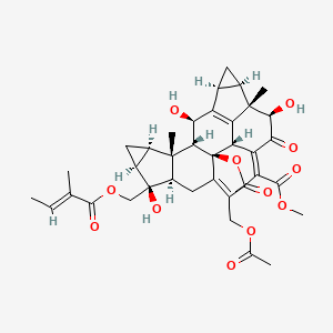 molecular formula C38H44O12 B12390391 Sarglaroids F 