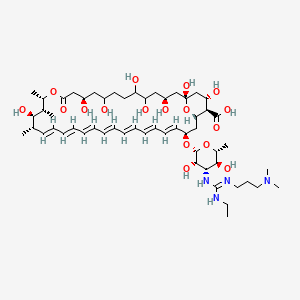 molecular formula C55H90N4O17 B1239054 (1R,3S,11R,15S,16R,17R,18S,19E,21E,23E,25E,27E,29E,31E,33R,35S,36R,37S)-33-[(2R,3S,4S,5S,6R)-4-[[N'-[3-(Dimethylamino)propyl]-N-ethylcarbamimidoyl]amino]-3,5-dihydroxy-6-methyloxan-2-yl]oxy-1,3,5,6,9,11,17,37-octahydroxy-15,16,18-trimethyl-13-oxo-14,39-dioxabicyclo[33.3.1]nonatriaconta-19,21,23,25,27,29,31-heptaene-36-carboxylic acid CAS No. 87263-93-2