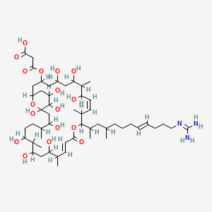 molecular formula C53H93N3O17 B1239056 Neocopiamycin A CAS No. 89989-28-6
