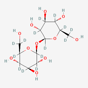 molecular formula C12H22O11 B12390646 (2R,3S,4S,5R,6S)-2,3,4,5,6-pentadeuterio-2-[dideuterio(hydroxy)methyl]-6-[(2S,3R,4S,5S,6R)-2,3,4,5,6-pentadeuterio-6-[dideuterio(hydroxy)methyl]-3,4,5-trihydroxyoxan-2-yl]oxyoxane-3,4,5-triol 