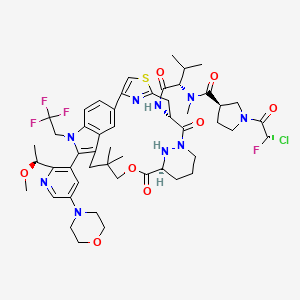 molecular formula C51H64ClF4N9O8S B12391021 KRAS G12C inhibitor 58 