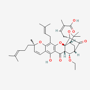 molecular formula C40H50O9 B12391408 Gambogic acid B 