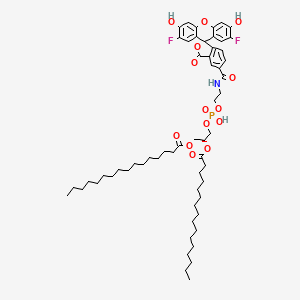 molecular formula C58H82F2NO14P B12391556 [(2R)-3-[2-[(2',7'-difluoro-3',6'-dihydroxy-3-oxospiro[2-benzofuran-1,9'-xanthene]-5-carbonyl)amino]ethoxy-hydroxyphosphoryl]oxy-2-hexadecanoyloxypropyl] hexadecanoate 