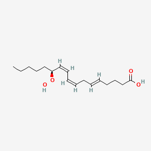 molecular formula C17H28O4 B1239171 12-Hydroperoxy-5,8,10-heptadecatrienoic acid CAS No. 73151-68-5