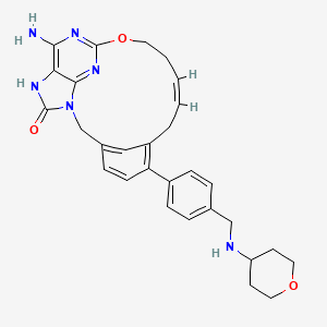 molecular formula C29H32N6O3 B12391880 TLR7 agonist 8 