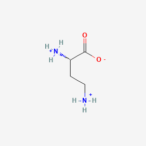 molecular formula C4H11N2O2+ B1239219 L-2,4-diaminobutyrate 