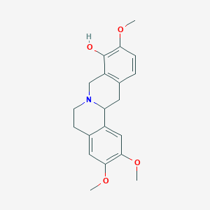 Tetrahydropalmatrubine