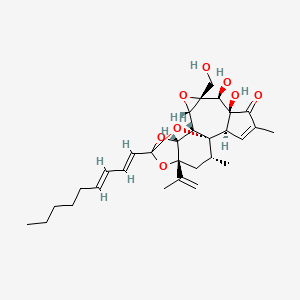 molecular formula C30H40O8 B1239246 Excoecariatoxin 
