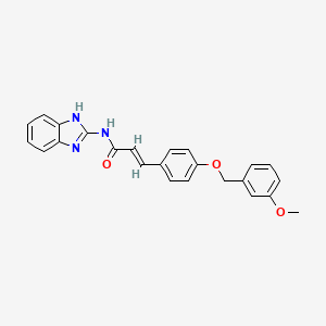 molecular formula C24H21N3O3 B12392798 NF-|EB-IN-8 