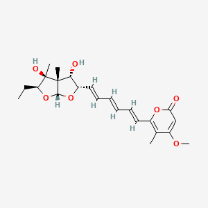 molecular formula C23H30O7 B1239294 6-[(1E,3E,5E)-6-[(2S,3S,3aS,4S,5S,6aR)-2-ethyl-3,4-dihydroxy-3,3a-dimethyl-2,4,5,6a-tetrahydrofuro[2,3-b]furan-5-yl]hexa-1,3,5-trienyl]-4-methoxy-5-methylpyran-2-one 