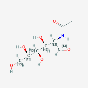 N-Acetyl-D-glucosamine-13C6