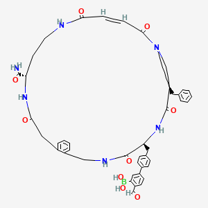 molecular formula C46H49BN6O9 B12393347 CypE-IN-1 