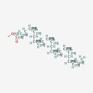 molecular formula C23H34O2 B12393398 methyl (4Z,7Z,10Z,13Z,16Z,19Z)-(1,2,3,4,5,6,7,8,9,10,11,12,13,14,15,16,17,18,19,20,21,22-13C22)docosa-4,7,10,13,16,19-hexaenoate 