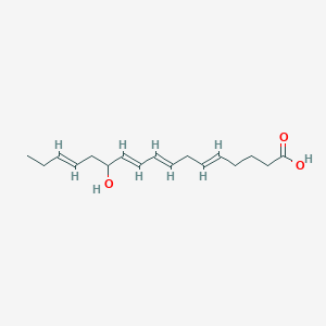B1239349 12-Hydroxy-5,8,10,14-heptadectetraenoic acid CAS No. 74004-31-2