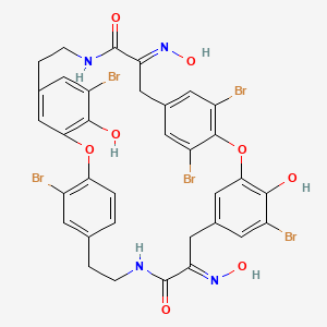 molecular formula C34H27Br5N4O8 B1239368 (12E,25E)-5,16,21,32,36-五溴-4,20-二羟基-12,25-双(羟基亚氨基)-2,18-二氧杂-10,27-二氮杂五环[28.2.2.214,17.13,7.119,23]八三十四-1(32),3,5,7(38),14,16,19,21,23(35),30,33,36-十二烯-11,26-二酮 