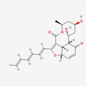 molecular formula C22H26O6 B12393918 (1R,2R,4S,6S,12S,16S)-10-[(1E,3E,5E)-hepta-1,3,5-trienyl]-2,4-dihydroxy-6-methyl-7,11-dioxatricyclo[7.6.1.012,16]hexadeca-9,13-diene-8,15-dione 