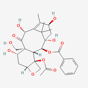 molecular formula C29H36O11 B12394034 19-hydroxy-10-deacetylbaccatin III 