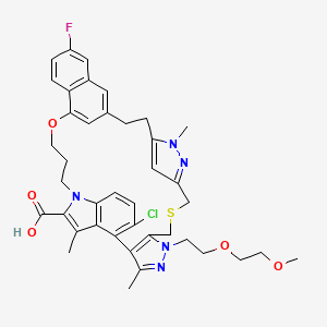 molecular formula C40H43ClFN5O5S B12394187 17-Chloro-33-fluoro-12-[2-(2-methoxyethoxy)ethyl]-5,14,22-trimethyl-28-oxa-9-thia-5,6,12,13,24-pentazaheptacyclo[27.7.1.14,7.011,15.016,21.020,24.030,35]octatriaconta-1(36),4(38),6,11(15),13,16,18,20,22,29(37),30(35),31,33-tridecaene-23-carboxylic acid 