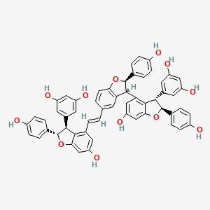 molecular formula C56H42O12 B12394210 5-[(2S,3S)-4-[(E)-2-[(2R,3R)-3-[(2S,3S)-3-(3,5-dihydroxyphenyl)-6-hydroxy-2-(4-hydroxyphenyl)-2,3-dihydro-1-benzofuran-4-yl]-2-(4-hydroxyphenyl)-2,3-dihydro-1-benzofuran-5-yl]ethenyl]-6-hydroxy-2-(4-hydroxyphenyl)-2,3-dihydro-1-benzofuran-3-yl]benzene-1,3-diol 