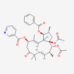 molecular formula C37H43NO9 B12394419 Euphoheliosnoid A 