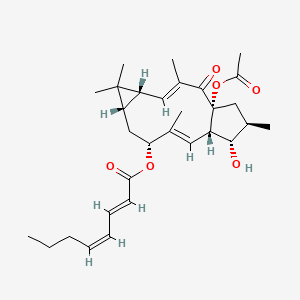 molecular formula C30H42O6 B12395043 Euphohelioscopin A 