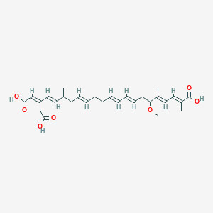 molecular formula C28H38O7 B1239508 (2E,4E,8E,10E,14E,18E,20E)-20-(carboxymethyl)-6-methoxy-2,5,17-trimethyldocosa-2,4,8,10,14,18,20-heptaenedioic acid 