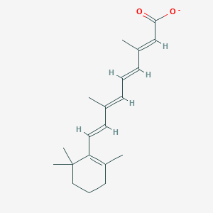 molecular formula C20H27O2- B1239537 all-trans-Retinoate 