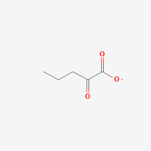 molecular formula C5H7O3- B1239548 2-氧代戊酸 