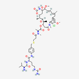 molecular formula C53H75ClN8O13S B12395483 vc-PABC-DM1 