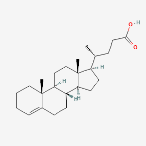 Chol-4-en-24-oic Acid