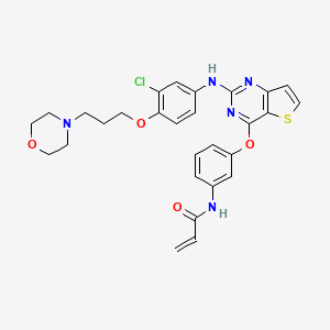 molecular formula C28H28ClN5O4S B12395914 Thi-DPPY 