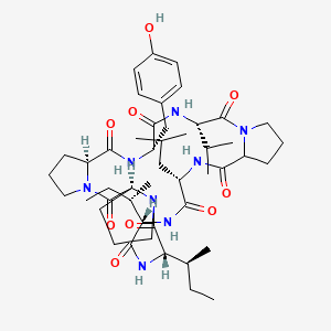 molecular formula C47H72N8O9 B12396013 cyclo[Ile-Ile-Pro-Pro-Tyr-Val-DL-Pro-Leu] 