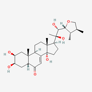 molecular formula C28H44O7 B12396948 (2S,3R,5R,9R,10R,13R,14S,17S)-17-[(1R,2R)-1-[(2R,3S,4S)-3,4-dimethyloxolan-2-yl]-1,2-dihydroxypropan-2-yl]-2,3,14-trihydroxy-10,13-dimethyl-2,3,4,5,9,11,12,15,16,17-decahydro-1H-cyclopenta[a]phenanthren-6-one 