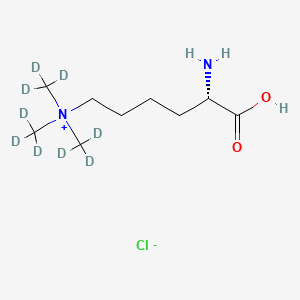 molecular formula C9H21ClN2O2 B12397010 N|A,N|A,N|A-Trimethyllysine-d9 (chloride) 