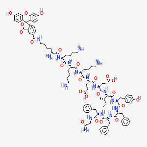 molecular formula C99H125N17O23 B12397156 FAM-CSKtide 