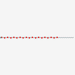 molecular formula C52H106O19 B12397182 2-[2-[2-[2-[2-[2-[2-[2-[2-[2-[2-[2-[2-[2-[2-[2-[2-(2-hexadecoxyethoxy)ethoxy]ethoxy]ethoxy]ethoxy]ethoxy]ethoxy]ethoxy]ethoxy]ethoxy]ethoxy]ethoxy]ethoxy]ethoxy]ethoxy]ethoxy]ethoxy]ethanol 