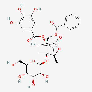 molecular formula C30H32O15 B12397416 4-O-Galloylalbiflorin 