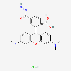 molecular formula C25H25ClN4O4 B12397454 TAMRA hydrazide (6-isomer) 