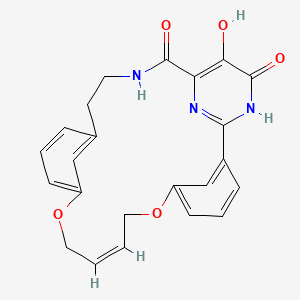 molecular formula C23H21N3O5 B12397568 trans-RdRP-IN-5 