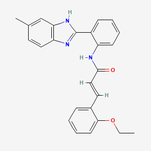 (E)-3-(2-ethoxyphenyl)-N-[2-(6-methyl-1H-benzimidazol-2-yl)phenyl]prop-2-enamide