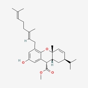 molecular formula C29H40O4 B12397973 Glabralide C 