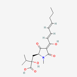 molecular formula C19H27NO6 B12398021 (2S)-2-hydroxy-2-[[(2S,4Z)-4-[(2E,4E)-1-hydroxyocta-2,4-dienylidene]-1-methyl-3,5-dioxopyrrolidin-2-yl]methyl]-3-methylbutanoic acid 