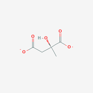 molecular formula C5H6O5-2 B1239806 (R)-2-Methylmalate 