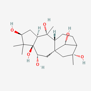 molecular formula C20H34O6 B1239834 (1S,3R,4R,6S,8S,9R,10R,14R,16R)-5,5,9,14-tetramethyltetracyclo[11.2.1.01,10.04,8]hexadecane-3,4,6,9,14,16-hexol 