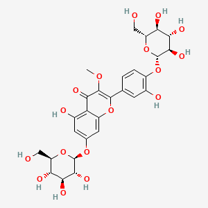 molecular formula C28H32O17 B12398533 3-O-methylquercetin 7-O-beta-glucopyranosyl-4'-O-beta-D-glucopyranoside CAS No. 47858-32-2