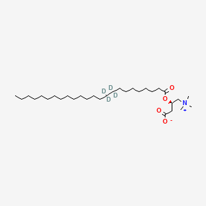 molecular formula C31H61NO4 B12398735 (3R)-3-(9,9,10,10-tetradeuteriotetracosanoyloxy)-4-(trimethylazaniumyl)butanoate 