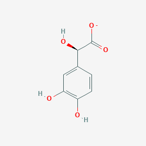 (2R)-2-(3,4-dihydroxyphenyl)-2-hydroxyacetate