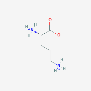 molecular formula C5H13N2O2+ B1239881 L-ornithinium 